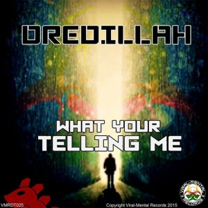 What-Youre-telling-Me_Dredillah_400